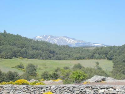 Joya Verde de Canencia — Un paseo por el Sestil del Maillo; visitas cerca de madrid el salto del git